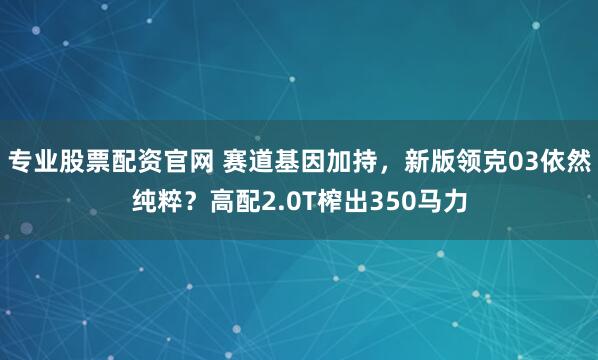 专业股票配资官网 赛道基因加持，新版领克03依然纯粹？高配2.0T榨出350马力